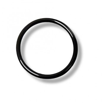 O Ring Injector 4.4 TDV8