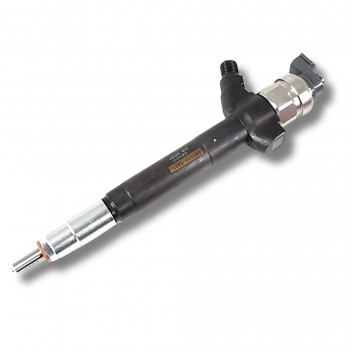 Injector 2.4 Puma