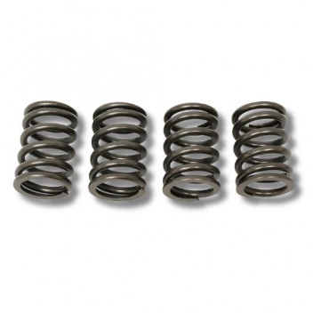 Valve Spring 300 Tdi