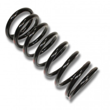 Spring Coil Rear R/H Def 110