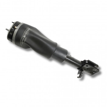 Shock Airbag Front RH RR B/B 2010-12