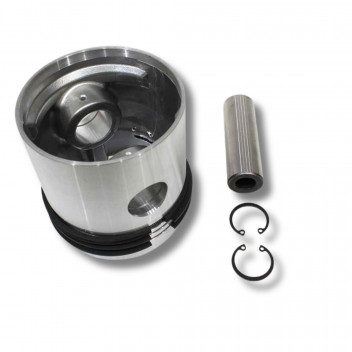 Piston Assem 2.25 Pet Std