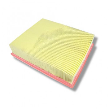 Filter Air Td5 & Disco2 V8